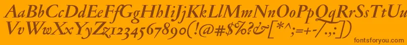 JannonmedosfBolditalic Font – Brown Fonts on Orange Background