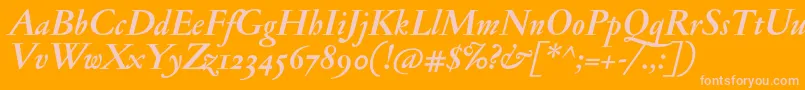 JannonmedosfBolditalic Font – Pink Fonts on Orange Background