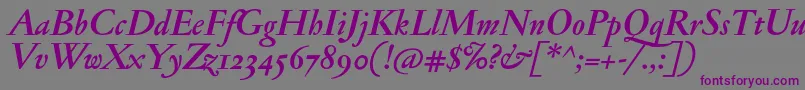 JannonmedosfBolditalic Font – Purple Fonts on Gray Background