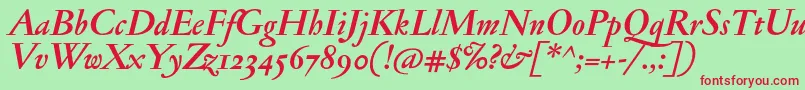 JannonmedosfBolditalic Font – Red Fonts on Green Background