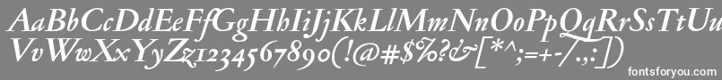 フォントJannonmedosfBolditalic – 灰色の背景に白い文字