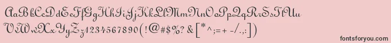 Linusn Font – Black Fonts on Pink Background