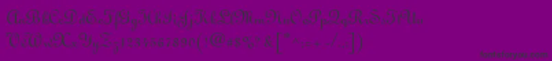 Linusn Font – Black Fonts on Purple Background