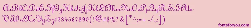 Linusn Font – Purple Fonts on Pink Background