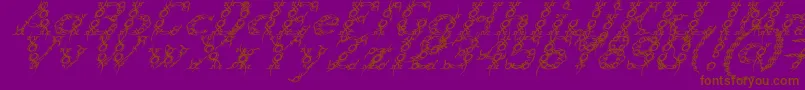 Czcionka TribouItalic – brązowe czcionki na fioletowym tle