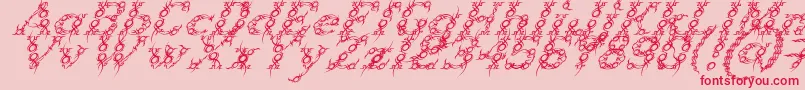 Weitere Informationen zur TribouItalic-Schriftart TribouItalic-Schriftart – Rote Schriften auf rosa Hintergrund
