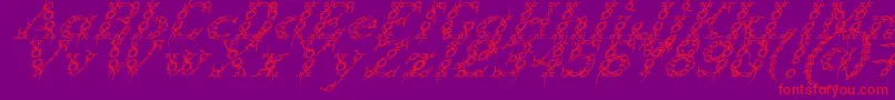 TribouItalic Font – Red Fonts on Purple Background