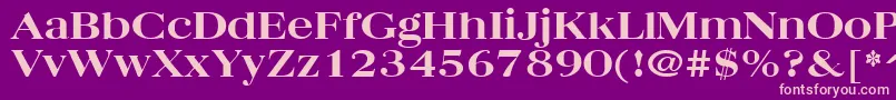 QuantasBroadExtraboldRegular Font – Pink Fonts on Purple Background