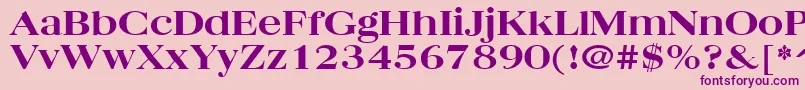QuantasBroadExtraboldRegular-Schriftart – Violette Schriften auf rosa Hintergrund
