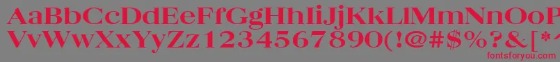 QuantasBroadExtraboldRegular Font – Red Fonts on Gray Background