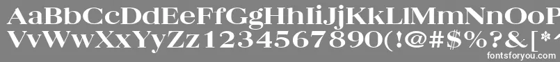 QuantasBroadExtraboldRegular Font – White Fonts on Gray Background