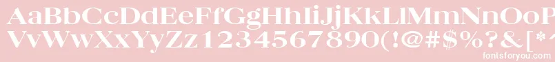 QuantasBroadExtraboldRegular Font – White Fonts on Pink Background