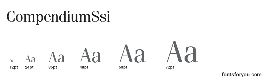 CompendiumSsi Font Sizes