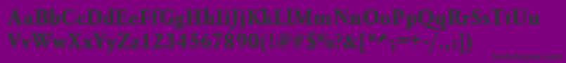 Urwgaramondtextbolnar Font – Black Fonts on Purple Background