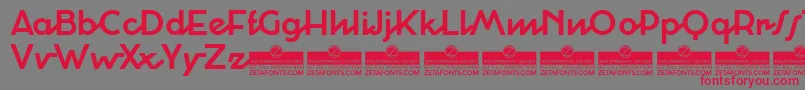 Cocosignumcorsivoitalico Font – Red Fonts on Gray Background