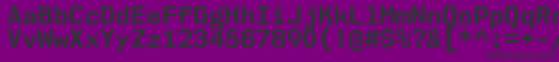 Nk57MonospaceNoBd Font – Black Fonts on Purple Background