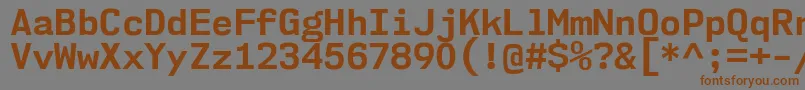 Nk57MonospaceNoBd Font – Brown Fonts on Gray Background