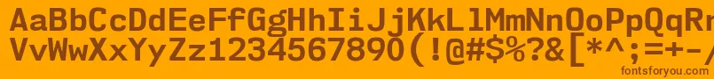 Nk57MonospaceNoBd Font – Brown Fonts on Orange Background