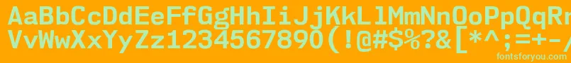 Nk57MonospaceNoBd Font – Green Fonts on Orange Background