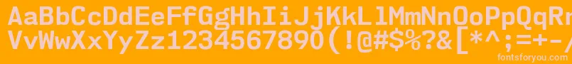 Nk57MonospaceNoBd Font – Pink Fonts on Orange Background