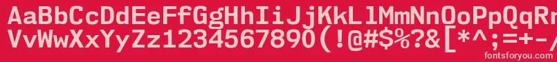 Nk57MonospaceNoBd Font – Pink Fonts on Red Background