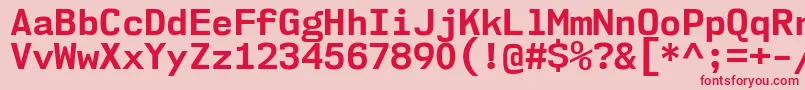 Nk57MonospaceNoBd Font – Red Fonts on Pink Background