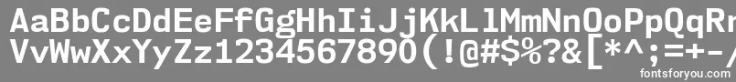 Nk57MonospaceNoBd Font – White Fonts on Gray Background