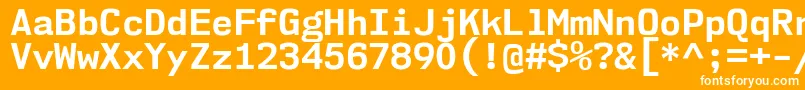 Nk57MonospaceNoBd Font – White Fonts on Orange Background