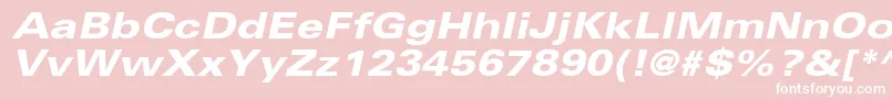 UniversltstdBlackexobl Font – White Fonts on Pink Background