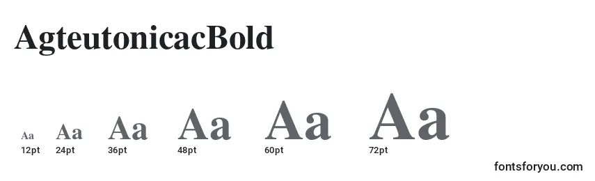 Размеры шрифта AgteutonicacBold