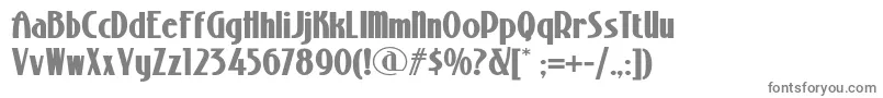StonyislandnfBold Font – Gray Fonts on White Background