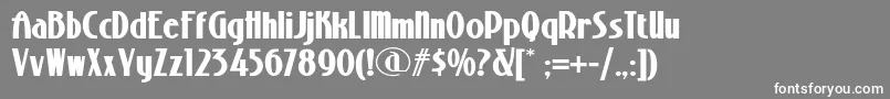 StonyislandnfBold Font – White Fonts on Gray Background