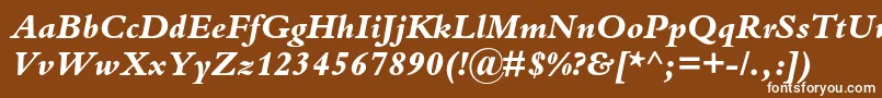 フォントBembostdExtrabolditalic – 茶色の背景に白い文字