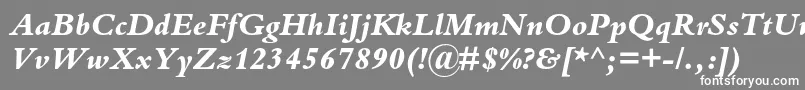 フォントBembostdExtrabolditalic – 灰色の背景に白い文字