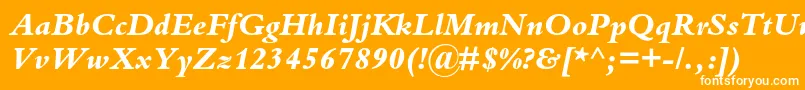 フォントBembostdExtrabolditalic – オレンジの背景に白い文字