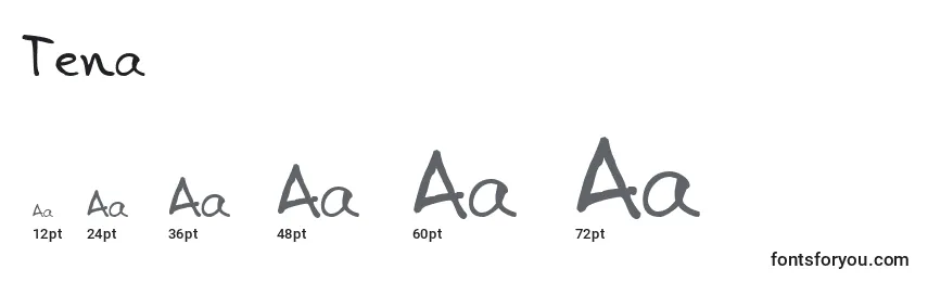 Размеры шрифта Tena