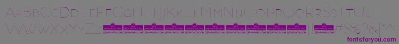 Шрифт AristotelicaSmallcapsHairlineTrial – фиолетовые шрифты на сером фоне