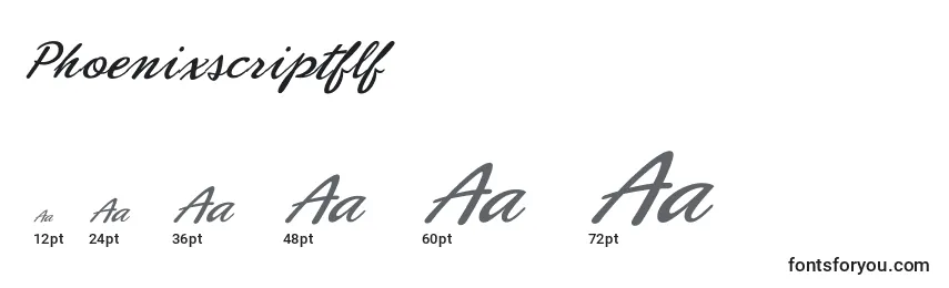 Размеры шрифта Phoenixscriptflf