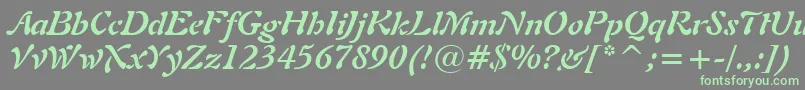 フォントFreeform721BoldItalicBt – 灰色の背景に緑のフォント