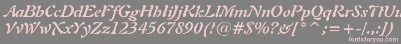 Freeform721BoldItalicBt-Schriftart – Rosa Schriften auf grauem Hintergrund