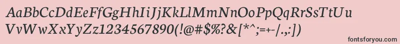 NeutonItalic Font – Black Fonts on Pink Background