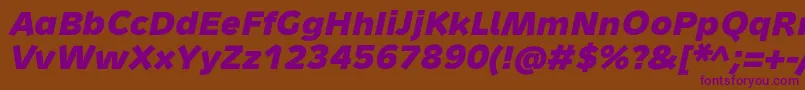 MetronMediumProBoldItalic Font – Purple Fonts on Brown Background