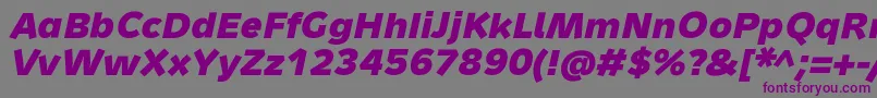 MetronMediumProBoldItalic Font – Purple Fonts on Gray Background