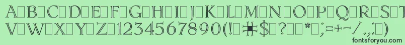LidiaPlain.001.001 Font – Black Fonts on Green Background