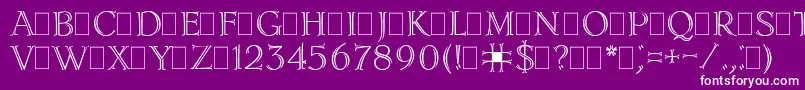 LidiaPlain.001.001 Font – White Fonts on Purple Background