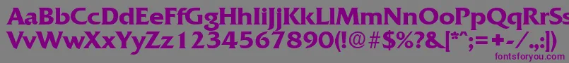 QuadratDemibold Font – Purple Fonts on Gray Background