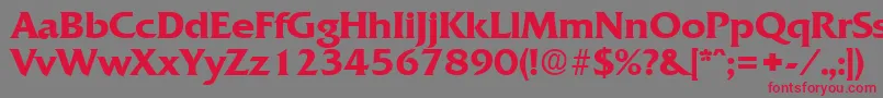 フォントQuadratDemibold – 赤い文字の灰色の背景