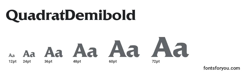 Размеры шрифта QuadratDemibold