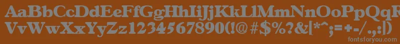 GascogneExtrabold Font – Gray Fonts on Brown Background