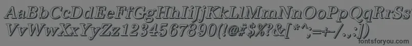 AntiquashCdItalic-Schriftart – Schwarze Schriften auf grauem Hintergrund